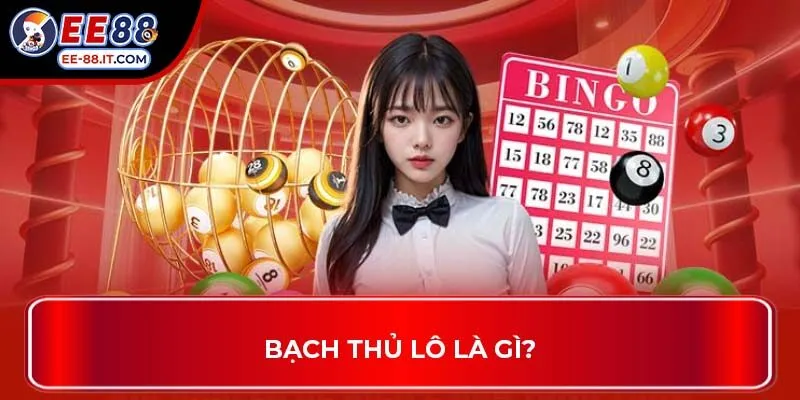 Bạch thủ lô là gì?