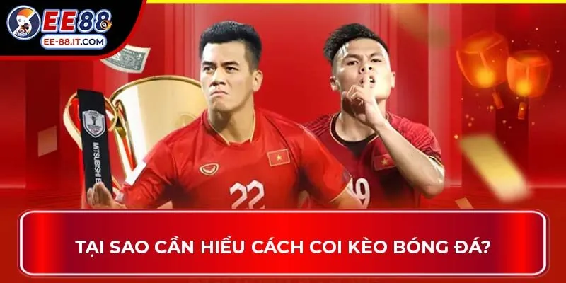 Tại sao cần hiểu cách coi kèo bóng đá?