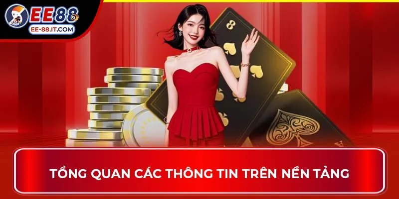 Tổng quan các thông tin trên nền tảng